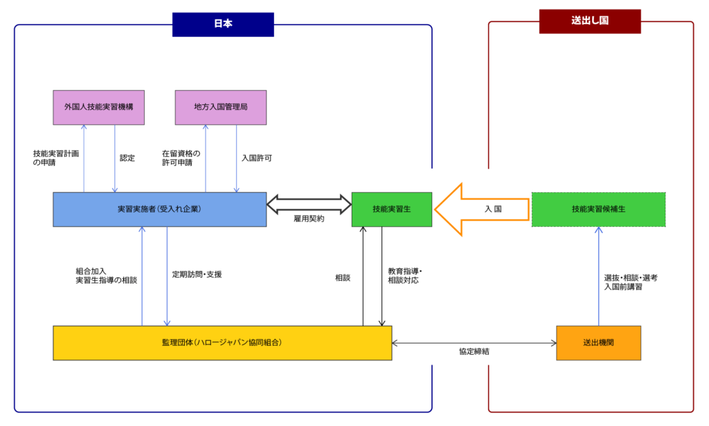 技能実習制度の相関図 (団体管理型)